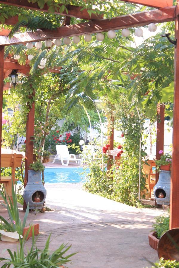 Alba Family Club Hotel Primorsko Buitenkant foto