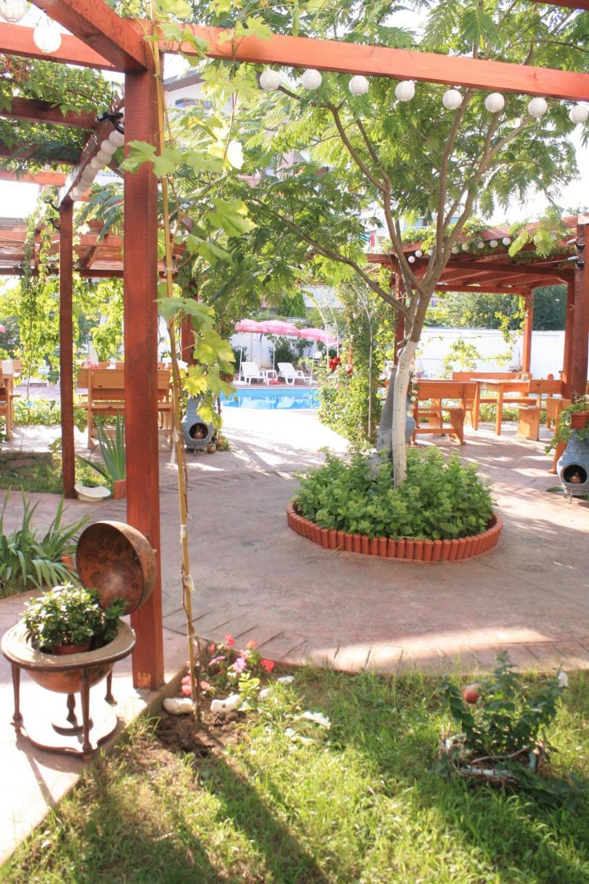 Alba Family Club Hotel Primorsko Buitenkant foto
