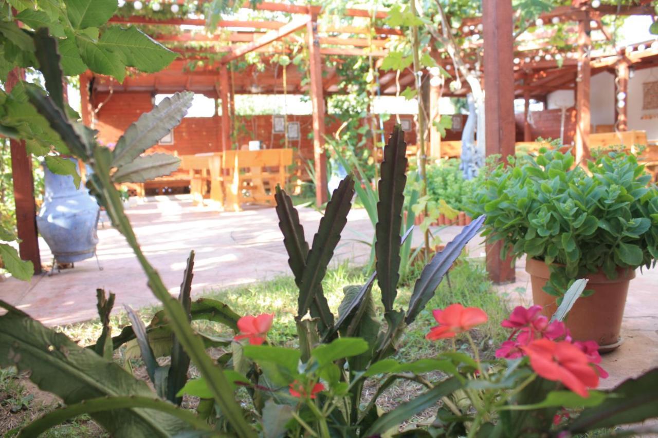 Alba Family Club Hotel Primorsko Buitenkant foto