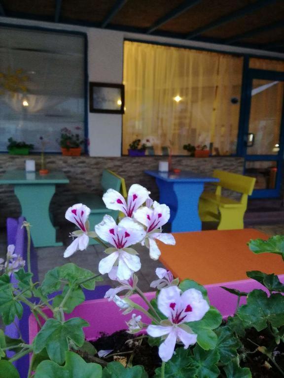 Alba Family Club Hotel Primorsko Buitenkant foto